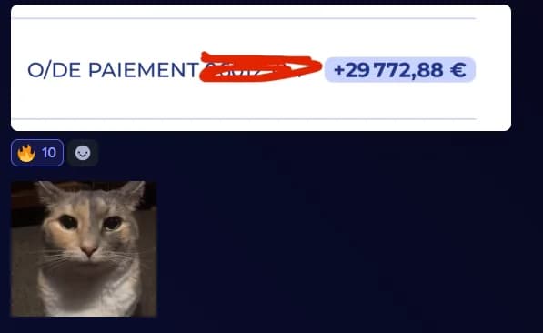 Message Discord : virement de 29 772,88 €